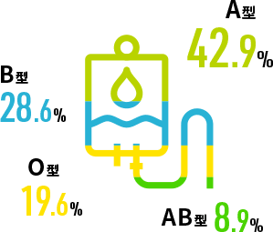 血液型 図